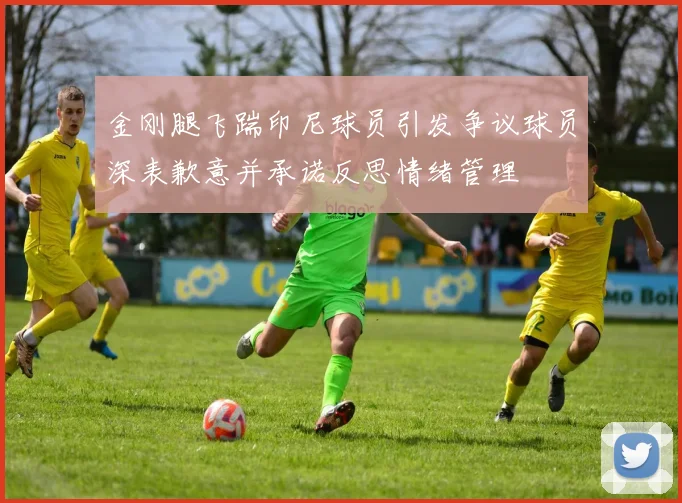 金刚腿飞踹印尼球员引发争议球员深表歉意并承诺反思情绪管理